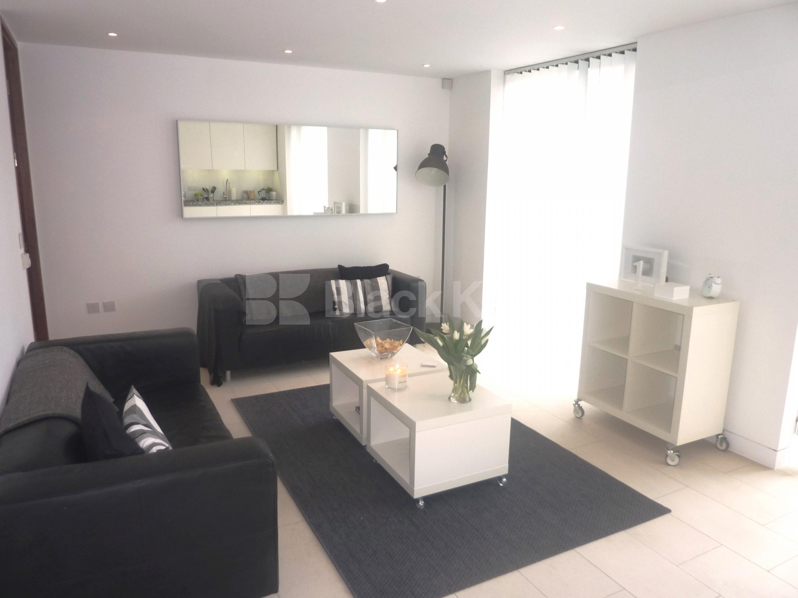 			LUXURY MODERN DEVELOPMENT!, 2 Bedroom, 1 bath, 1 reception Flat			 Oval Road, PRIMROSE HILL / REGENTS PARK NW1